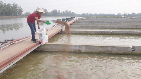 Tạo sức bật phát triển nông nghiệp