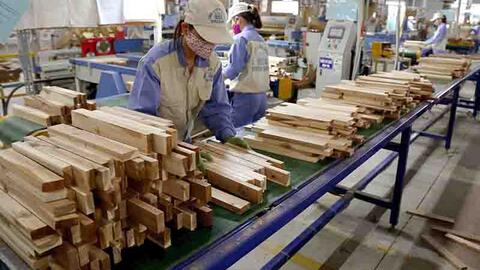 “Cú huých” cho ngành gỗ từ logistics