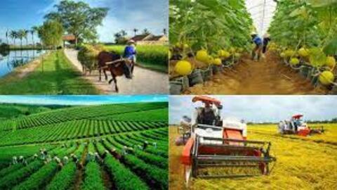 Một số vấn đề về phát triển nông nghiệp, nông dân, nông thôn nước ta hiện nay