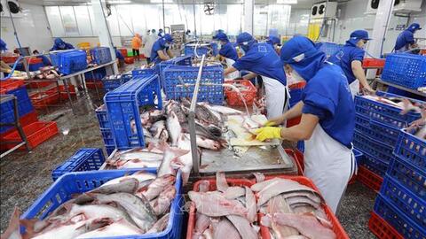 Nhiều tiềm năng hợp tác kinh tế, thương mại Việt Nam-New Zealand 