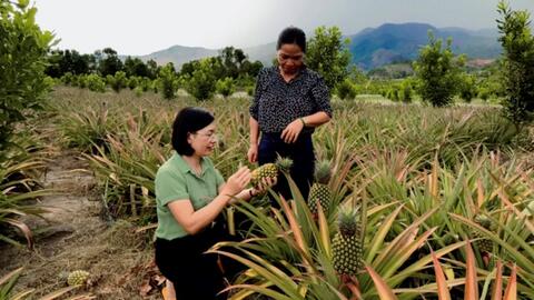 Khởi sắc nông thôn mới vùng cao Đăk Trăm