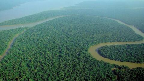 Chiến lược tín chỉ carbon trị giá 11 tỷ đô của Brazil