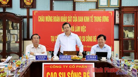 Đoàn công tác của Ban Kinh tế Trung ương khảo sát tại Bình Phước