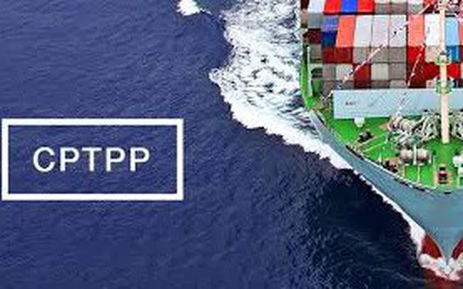 Chỉ định cơ quan đầu mối triển khai Hiệp định CPTPP