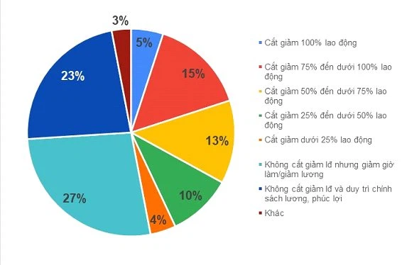 Dịch Covid-19 lần 2 và những con số báo động: Chỉ 2% doanh nghiệp còn nguyên vẹn; sức chống chịu phần lớn là rất mỏng - Ảnh 2.