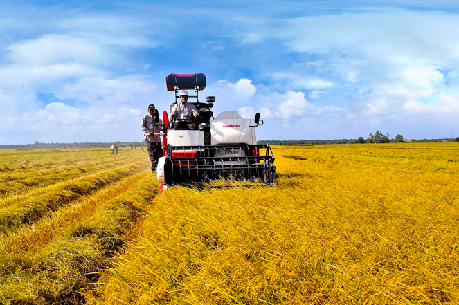 Cùng nông dân làm nông nghiệp hiện đại - Báo Điện Tử Đại Biểu Nhân Dân