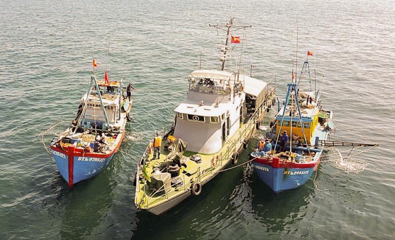 Bộ đội biên phòng Hải Phòng kiểm tra khai thác hải sản