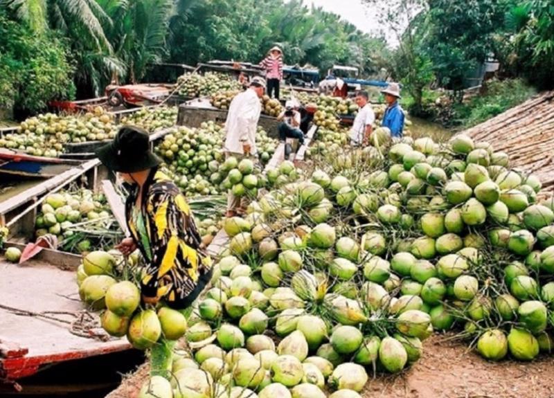 Việt Nam và Trung Quốc đã nhất trí sớm hoàn tất cả thủ tục để ký kết Nghị định thư về yêu cầu kiểm dịch quả dừa tươi trong thời gian tới, sẽ mở ra triển vọng xuất khẩu cho trái dừa của Việt Nam.