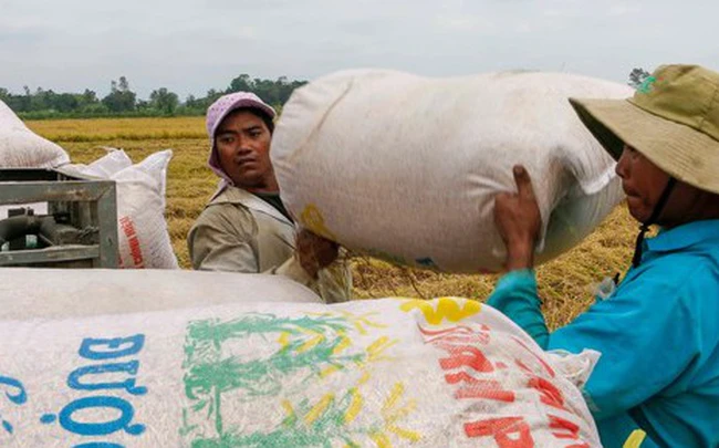 Vì sao nông dân Đồng bằng sông Cửu Long đang ‘nghèo’ dần?