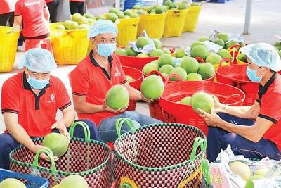 Tăng hiệu quả xuất khẩu nông sản sang Trung Quốc
