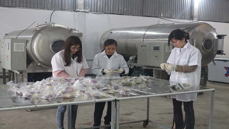 Xây dựng mô hình Hợp tác xã kiểu mới ít thành viên ở Hà Nam