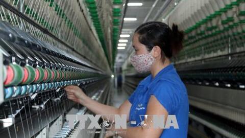 CPTPP và EVFTA tạo sức hút đầu tư vào dệt may Việt Nam