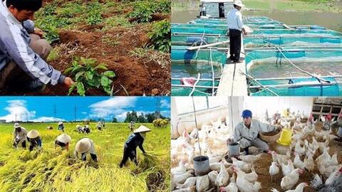 Bức tranh nông nghiệp quý 1/2022: Sản xuất lúa, chăn nuôi gặp khó, thủy sản và lâm nghiệp tăng trưởng tích cực