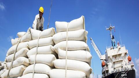 Cơ hội cho xuất khẩu gạo Việt đứng đầu thế giới