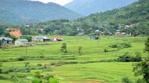 Một số cách làm hay trong thực hiện tái cơ cấu lại ngành nông nghiệp tỉnh Nghệ An