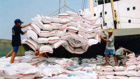 Xuất khẩu gạo của Việt Nam sẽ tăng cao do các nước đẩy mạnh dự trữ lương thực
