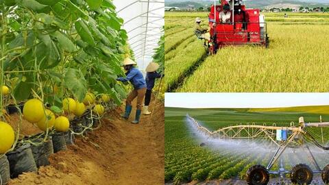 Ngành nông nghiệp tăng trưởng cao nhất trong 1 thập kỷ