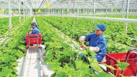 Đột phá từ tư duy phát triển