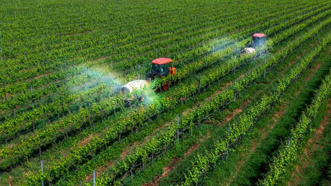 Phát triển nông nghiệp Việt Nam: Chuyển dịch từ “lấy công làm lãi” sang kinh tế nông nghiệp
