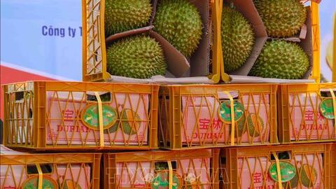 Nông sản Việt đón thêm cơ hội xuất khẩu