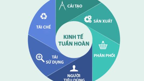 Cơ hội và thách thức trong chuyển đổi xanh, phát triển kinh tế tuần hoàn