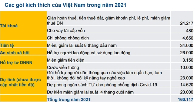 Nhìn lại quy mô các gói kích thích kinh tế của Việt Nam so với GDP năm 2021 - Ảnh 3.