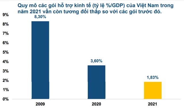 Nhìn lại quy mô các gói kích thích kinh tế của Việt Nam so với GDP năm 2021 - Ảnh 1.