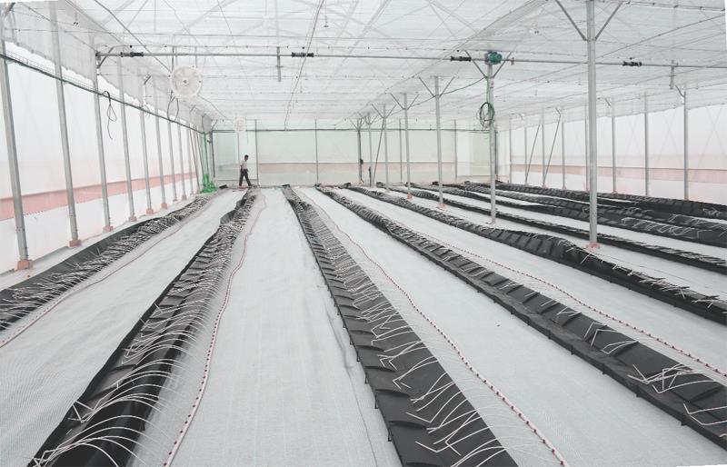 Khu nhà lưới phục vụ công tác nghiên cứu, ươm tạo giống NNUDCNC đang được hoàn thiện đưa vào sử dụng thời gian tới. Ảnh: Hà Minh