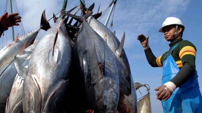 Dự báo xuất khẩu cá ngừ sẽ đạt trên 1 tỷ USD trong năm 2022