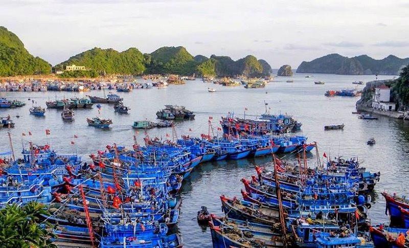 UBND tỉnh Hải Phòng được ủy quyền quản lý, bảo trì tuyến đường thủy nội địa quốc gia, đoạn từ cảng cá Cát Bà đến cửa Tùng Gấu.