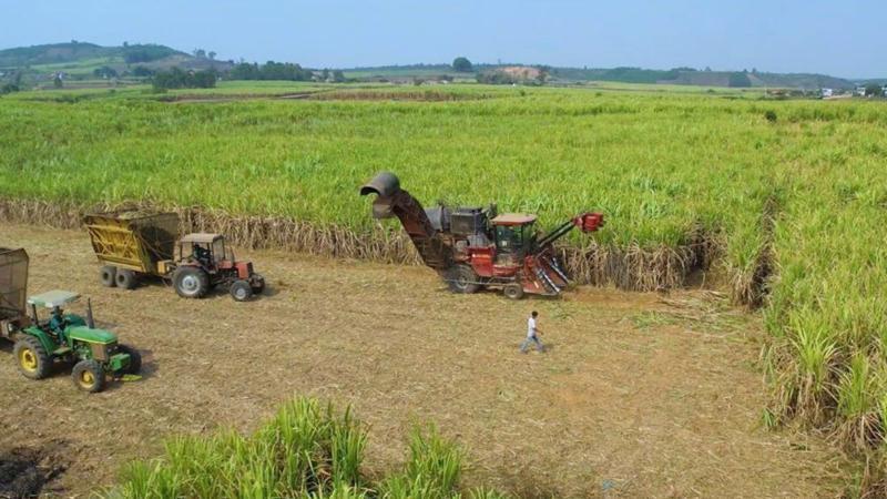 Cơ giới hoá đồng bộ tại vùng mía nguyên liệu nhà máy đường An Khê.